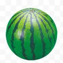 绿色圆形西瓜