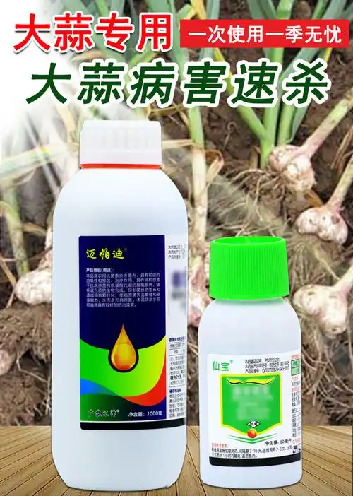 大蒜专用农药根腐病紫斑病叶枯病软腐病疫病锈病防病药大蒜杀菌剂