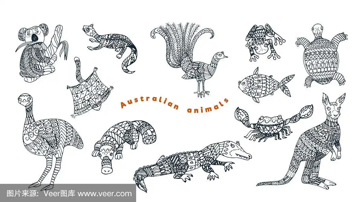 澳大利亚文明,矢量,动物,蜜袋鼯,鸸鹋