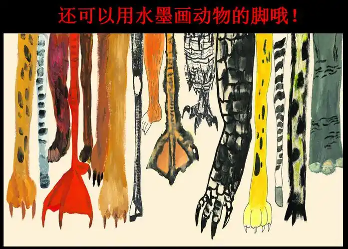 第三课《能干的脚—动物的脚》