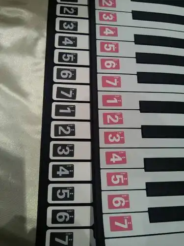 88键钢琴键盘数字贴纸37495461键电子琴键盘贴