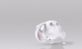 280_170gif 动态图 动图