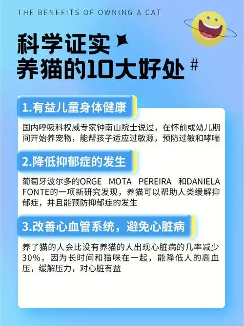 养猫的10个好处说服你养猫的理由都在这