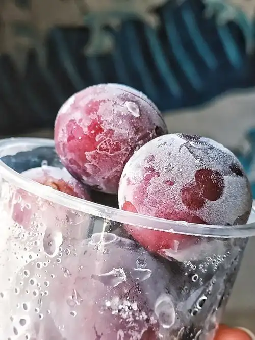 求求了还有什么水果越冻越好吃