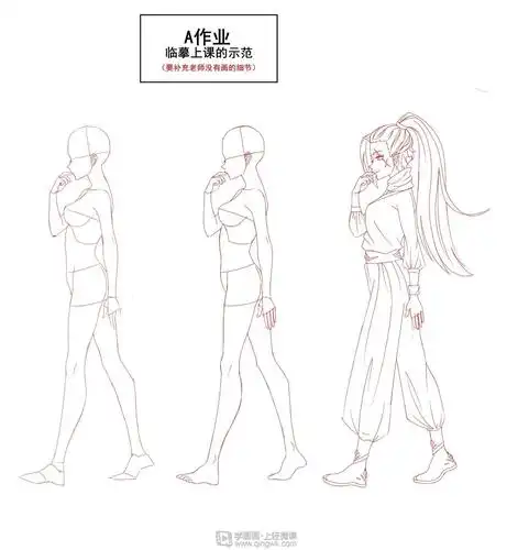 侧面的人体结构和细化