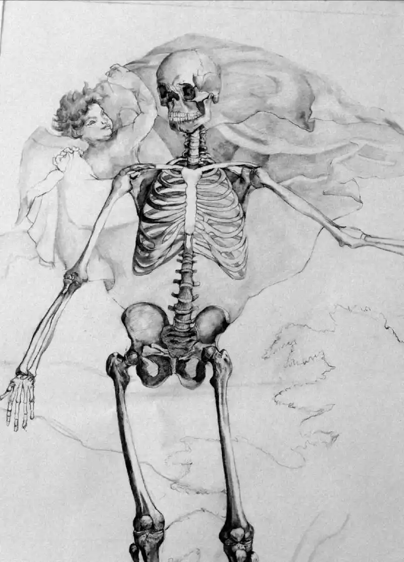 素描人体骨骼#人体解剖学基础知识 #爱画画 #快来一起学习吧 - 抖音