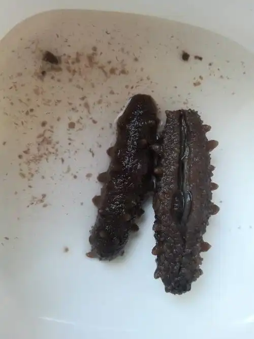 今天早上6:00泡的,海参放到水里冰化了就出现这种现象,不知道买的是不