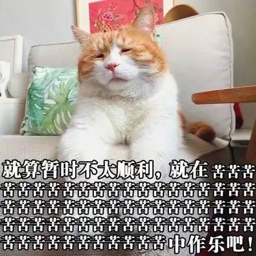 就算暂时不太顺利,就在苦苦苦苦中作乐 – 你可闭闭闭嘴吧 ​_喵星