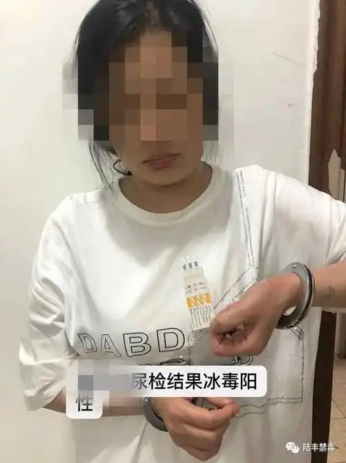 19"专案组经缜密侦查,在陆丰市东海镇旺角公寓抓获吸毒人员:刘某华(女