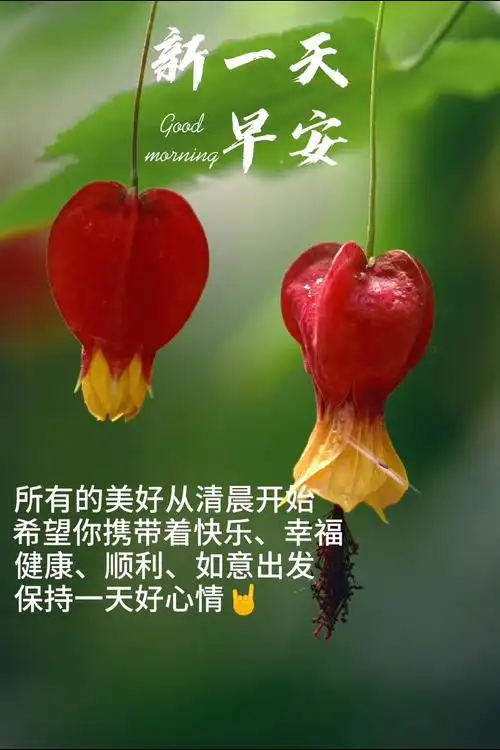 感恩有你#所美好从清晨开始 早安!