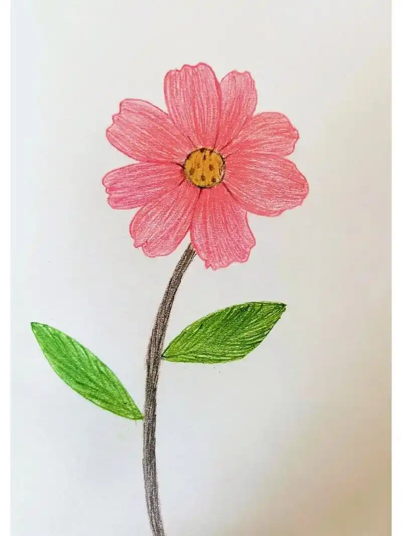 小红花简笔画#画画 #简笔画 #一起学画画 @抖音小助手  - 抖音