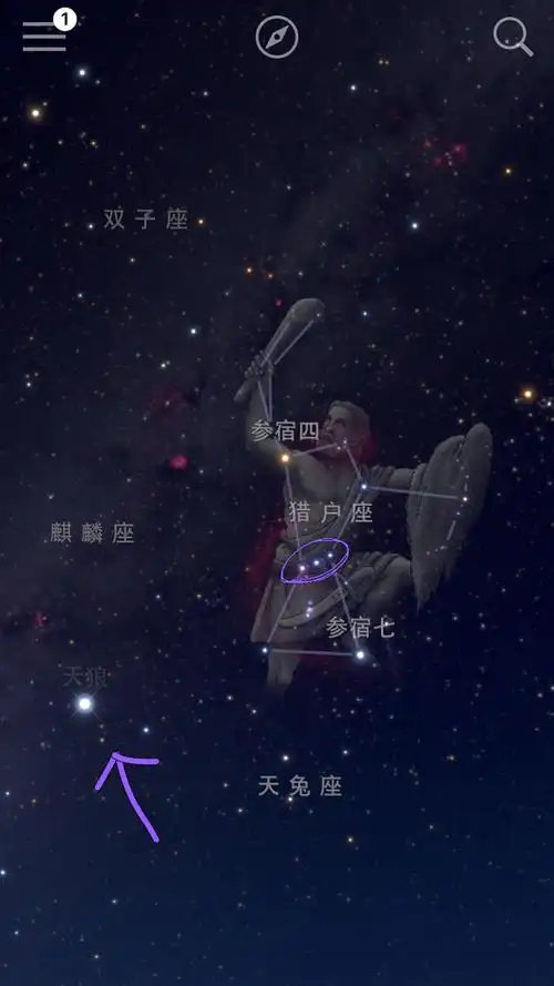 今天看到了猎户座