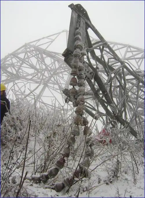 2008低温冰冻灾害教训