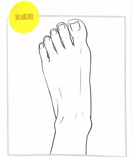 板绘技巧学习脚部的基本及绘画方法
