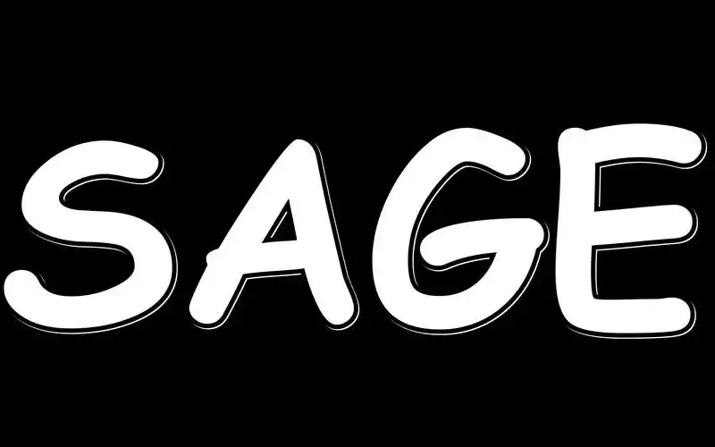 黑色背景英文语句极简风格,高清图片,电脑桌面-壁纸族