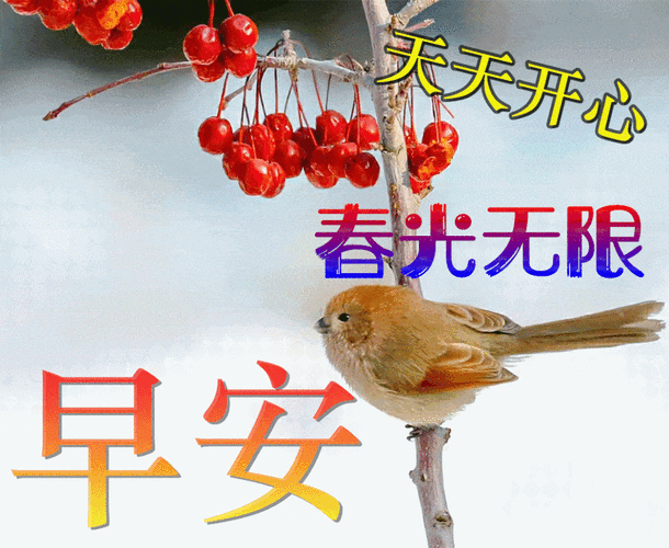 早上好祝福语图片大全,问候动态表情图片大全!_心情_生活_阳光