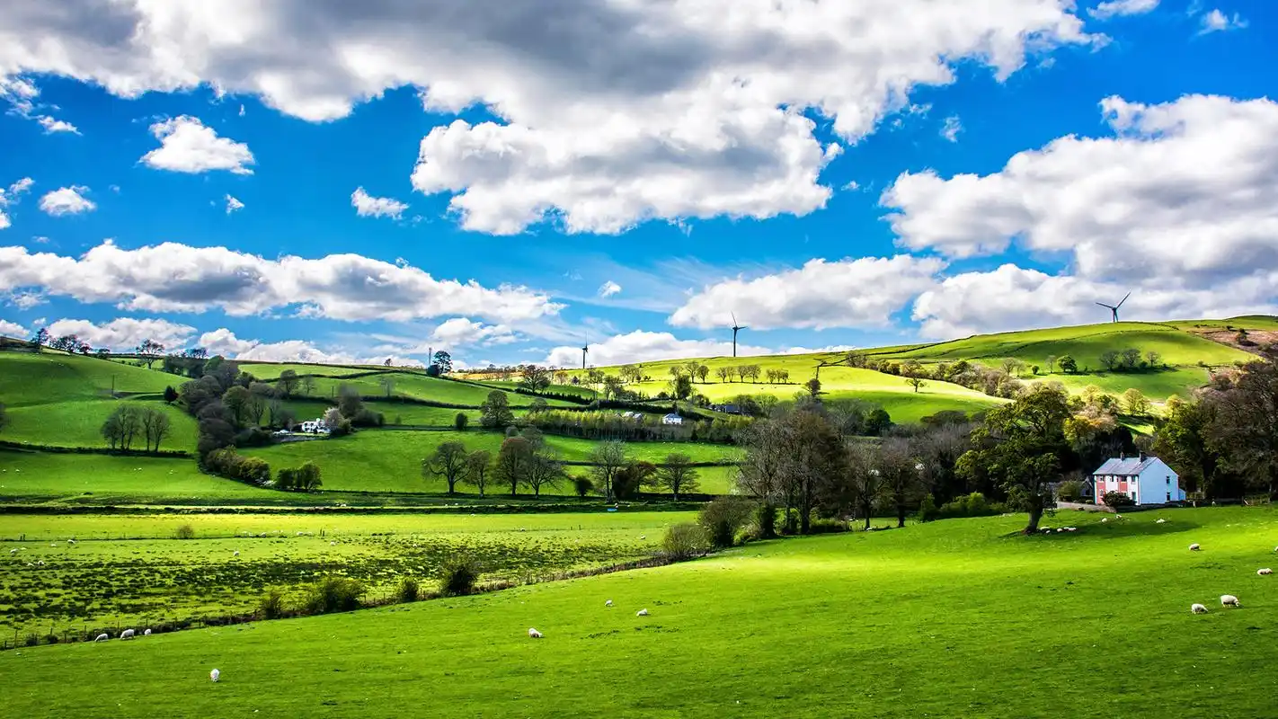 广袤的草原风光美景图片桌面壁纸高清大图预览1920x1080_风景壁纸下载