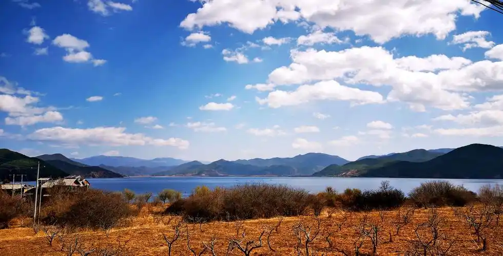 泸沽湖 草海2019