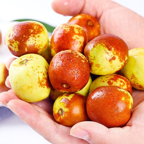 陕西大荔冬枣现摘现发当季新鲜脆甜枣子红枣孕妇水果青枣顺丰包邮