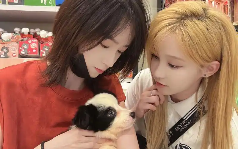 【奉天承芸】最好的草芸最棒的舞台