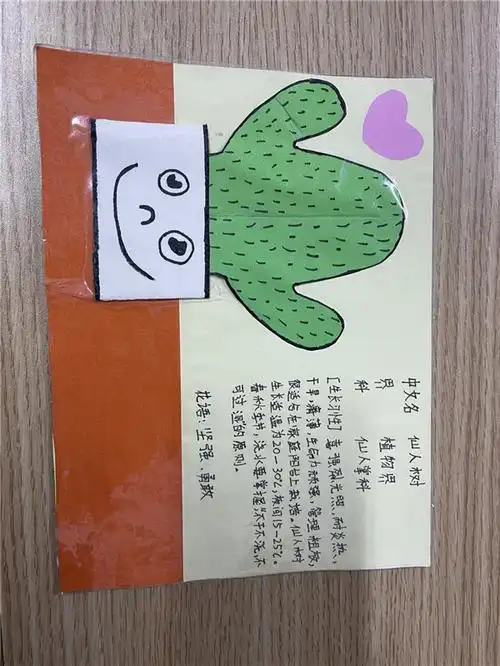 戴溪小学第十四届科技节活动之植物名片设计比赛