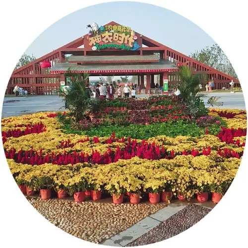 洋河农业嘉年华