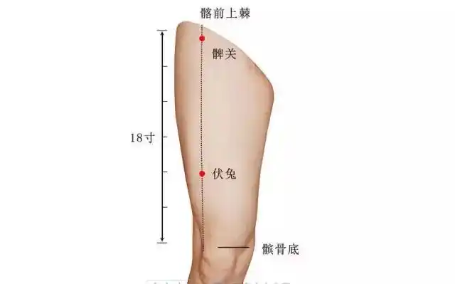 百岁老中医的10个驻颜秘方,90%的人都不知道!