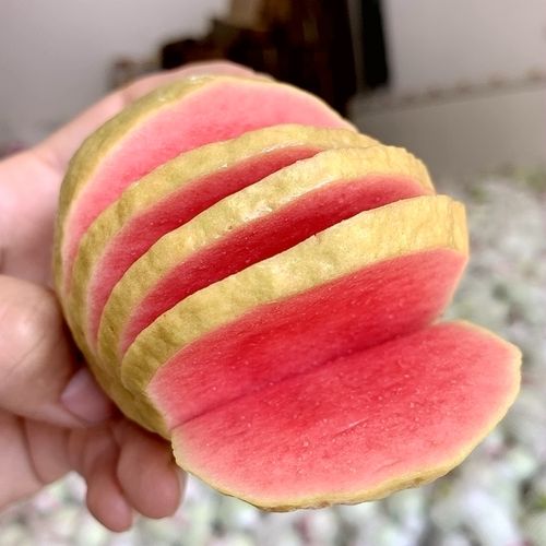 软糯芭乐草莓细滑红心酸甜番石榴5斤顺丰芭乐