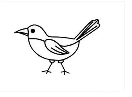 喜鹊小鸟简笔画简单画法