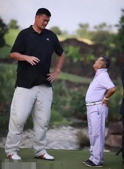 娱乐明星如何与姚明合影?刘德华成龙大哥有妙招|姚明|大哥|合影_新浪