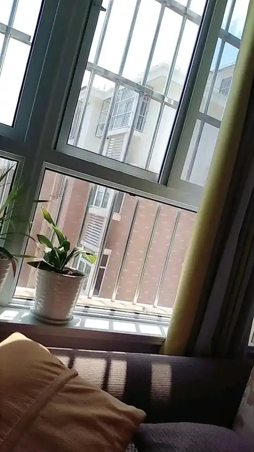 早晨起来,窗外浮光普照.