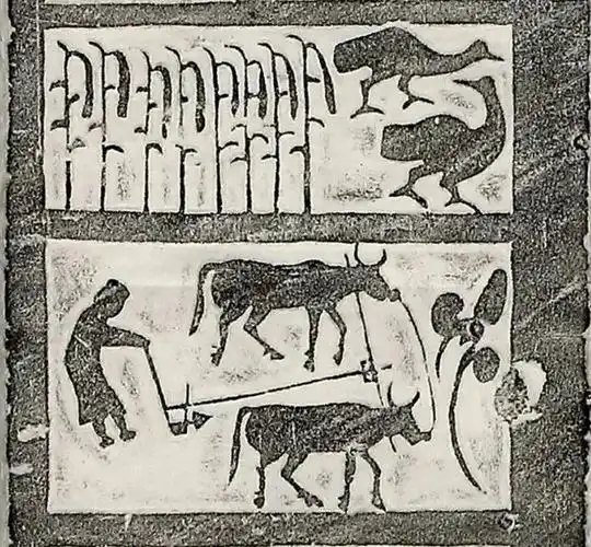 牛耕  陕北绥德牛耕与放牧  陕北绥德耕  山东滕州