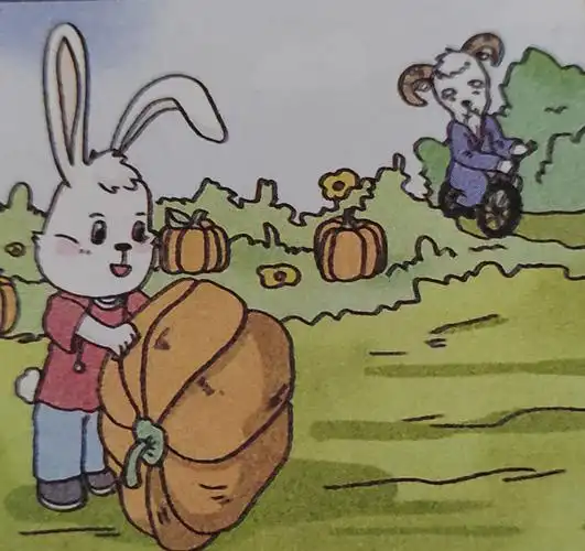 看图写话之南瓜成熟了(看图写话秋天丰收的果园南瓜)