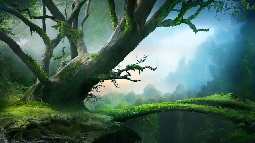 洋洋代刷网,平台快手刷双击王者荣耀刷人气赞便宜-24小时自助下单平台