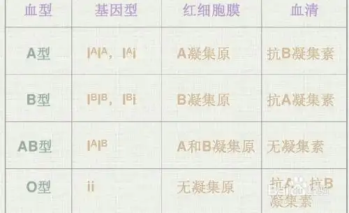 高中生物血型遗传图解