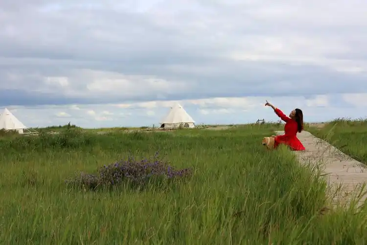 2021端午节旅游推荐呼伦贝尔大草原端午节撞上呼伦贝尔芍药花期