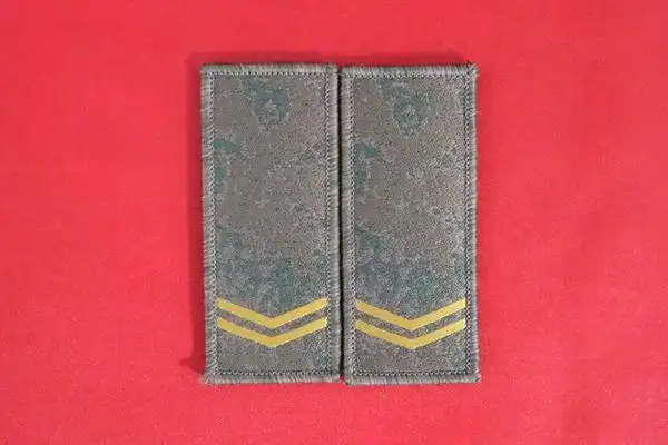 士兵军衔,全新亮相!|上等兵|列兵|上士_网易订阅