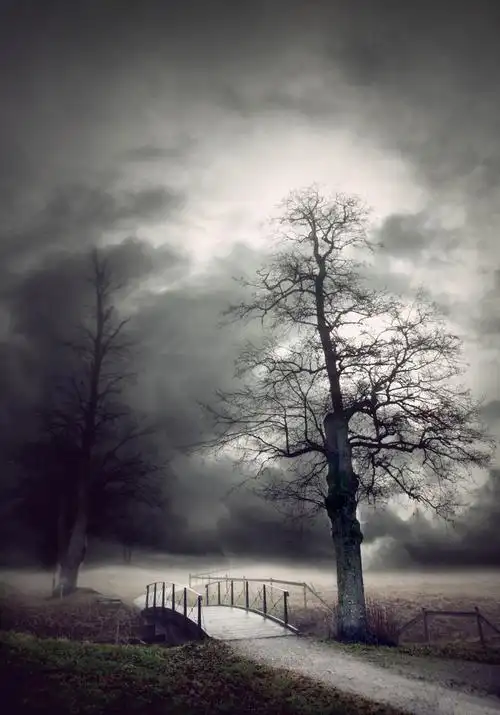 令人沮丧的秋景,悲观秋季风景与光秃树的一座小桥