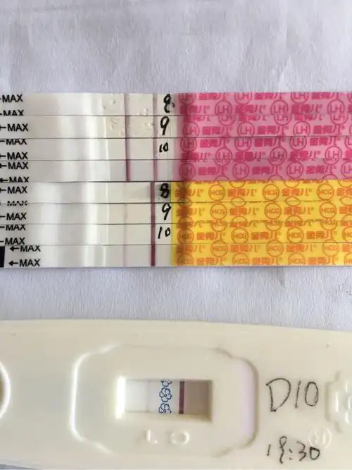 鲜胚移植第十一天,不含移植日