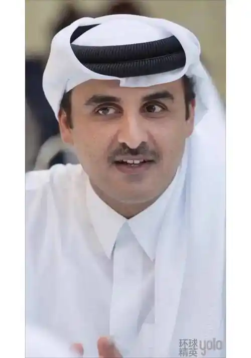 卡塔尔国王塔米姆,创纪录的"80后"埃米尔难掩大国雄心_哈马德_世界杯