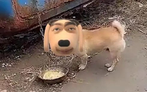 炫神炫狗表情包