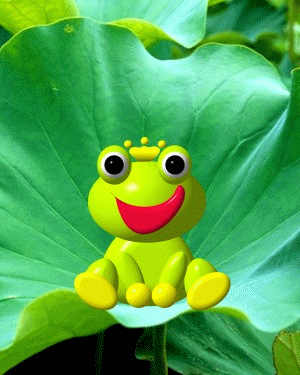 祝小小青蛙生日快乐!