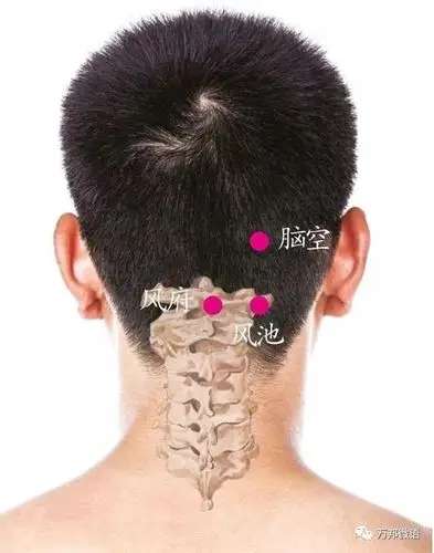 当推至凹陷的上端,与后脑勺(枕外粗隆)下缘相齐平的位置便是风池穴,是