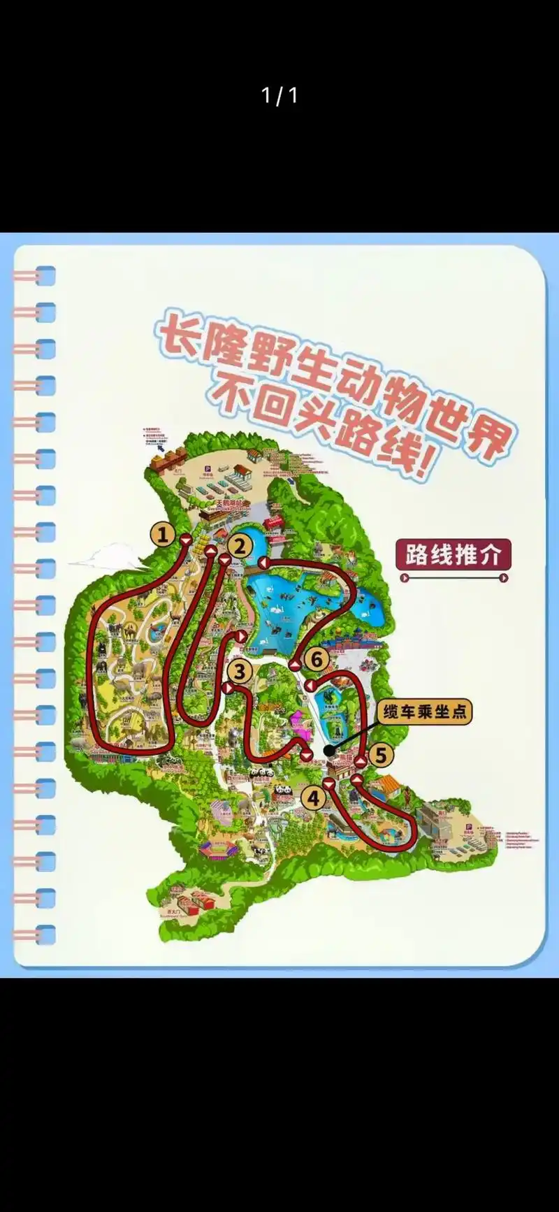 长隆野生动物世界保姆级攻略.一年去过不下10次总结出来的长隆 - 抖音