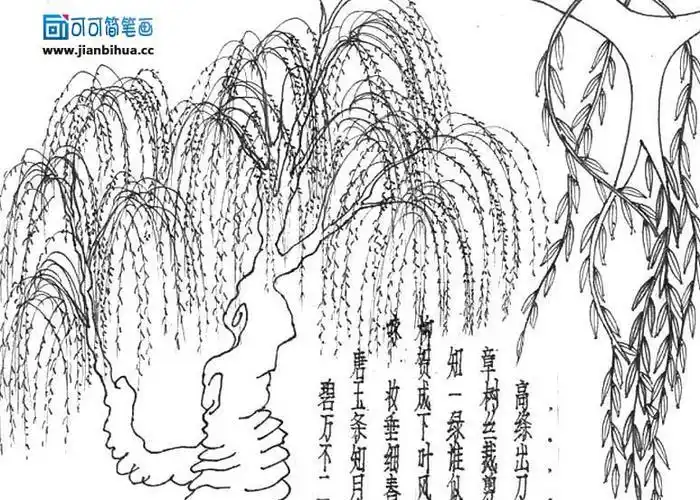 春天的美景简笔画有古诗的