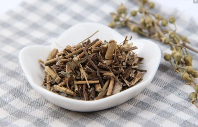 养生揭示:为何佩兰这种植物频频被人喜欢?