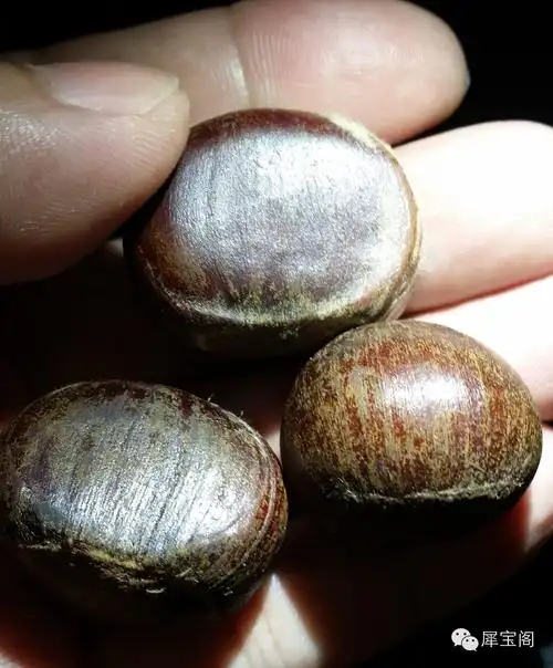 《再谈犀牛角》