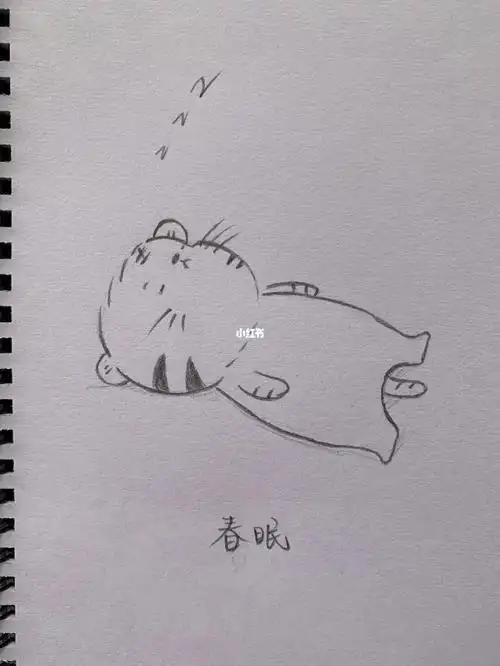 简笔画春眠不觉晓