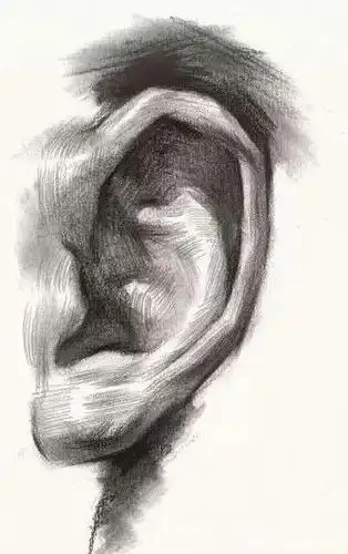 素描头像五官之鼻子,耳朵详细步骤图,学会画五官,甩对手几条街