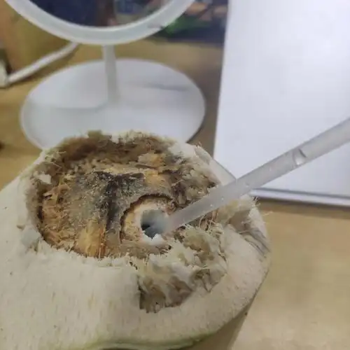 冒着被舍友敲爆头的风险开的椰子竟然是坏的